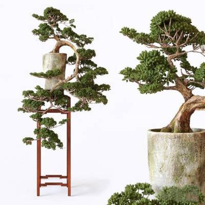 中式盆栽3D模型下载 中式盆栽3D模型下载