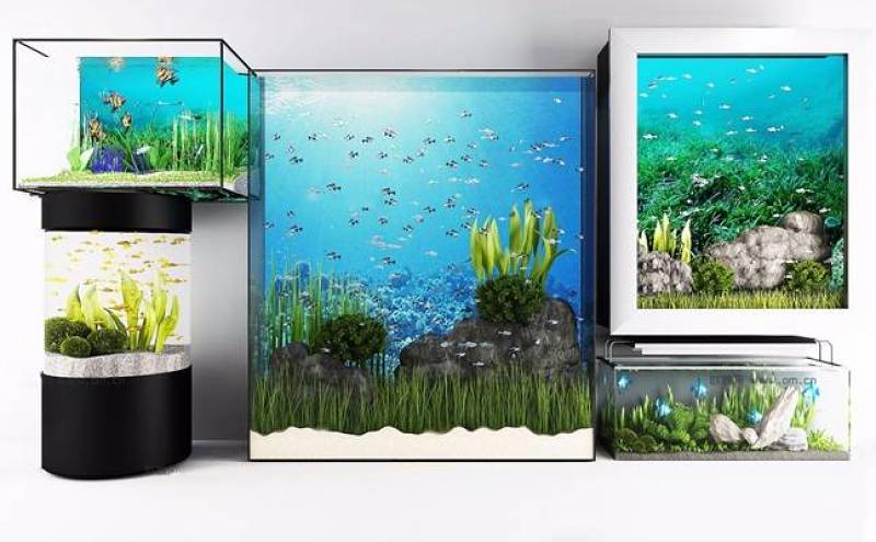 现代水族鱼缸组合3D模型下载 现代水族鱼缸组合3D模型下载