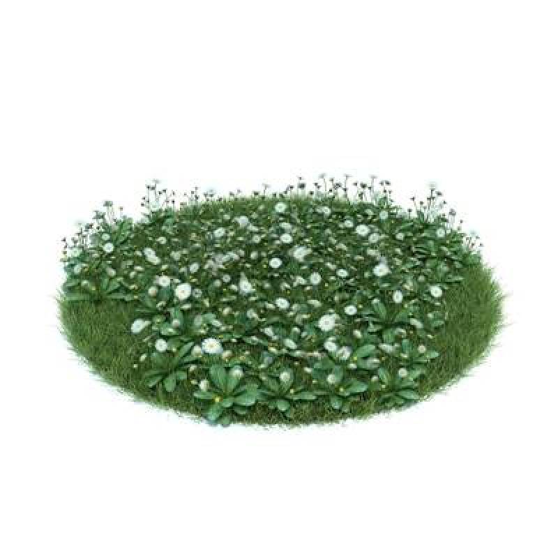 绿色草坪3D模型下载 绿色草坪3D模型下载
