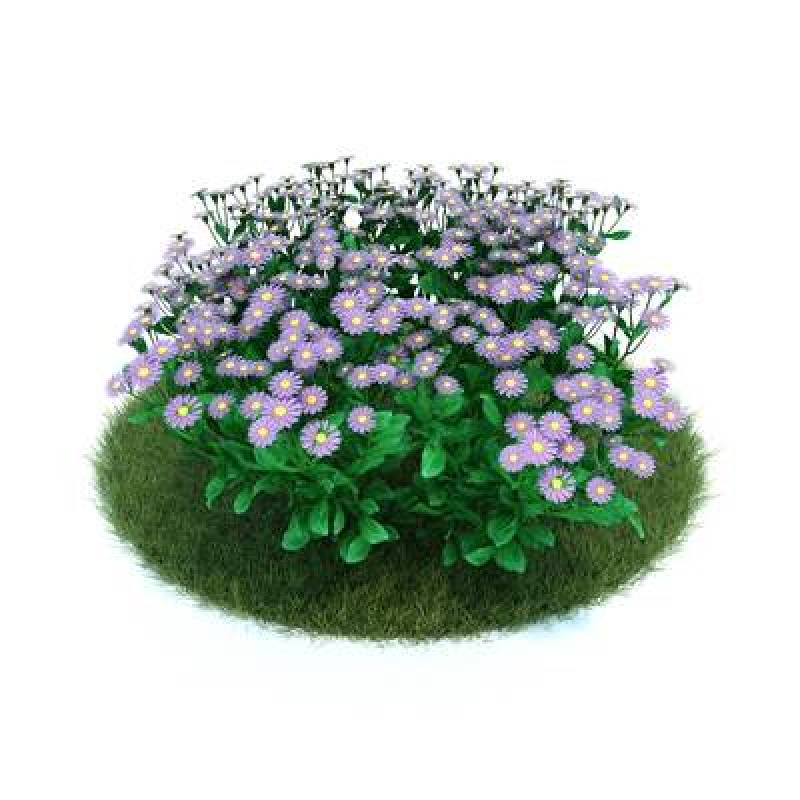 紫色草坪3D模型下载 紫色草坪3D模型下载