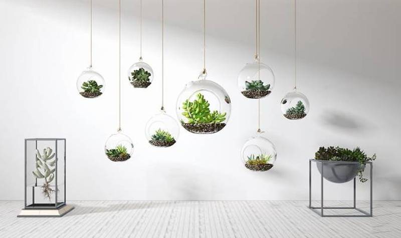 现代多肉植物玻璃吊篮盆栽组合3D模型下载 现代多肉植物玻璃吊篮盆栽组合3D模型下载