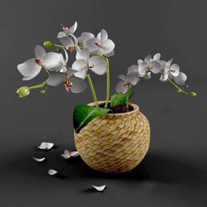 白色盆栽3D模型下载 白色盆栽3D模型下载