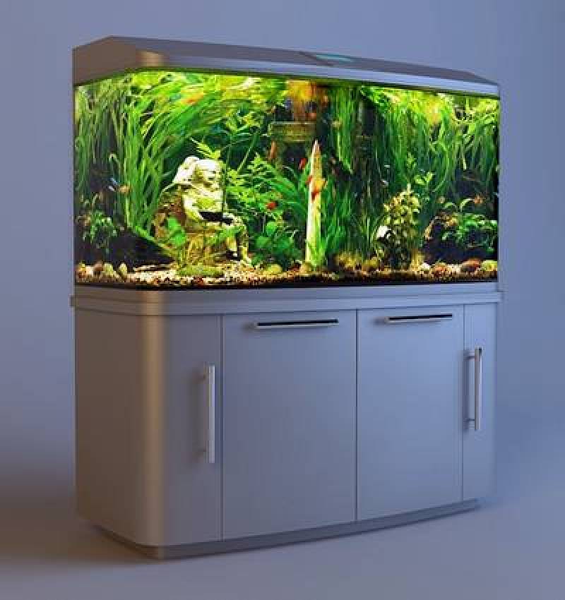现代白色高柜鱼缸3d模型下载 现代白色高柜鱼缸3d模型下载