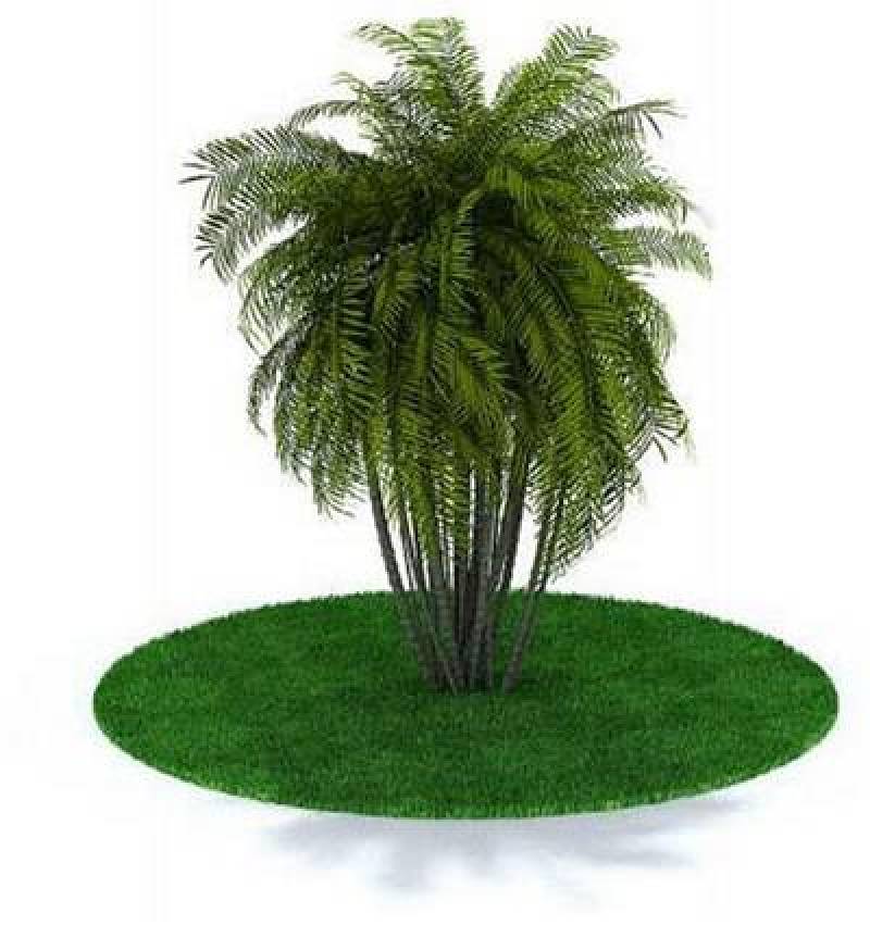 绿色景观树3D模型下载 绿色景观树3D模型下载