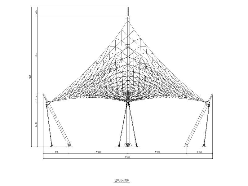 飞燕膜结构工程施工图