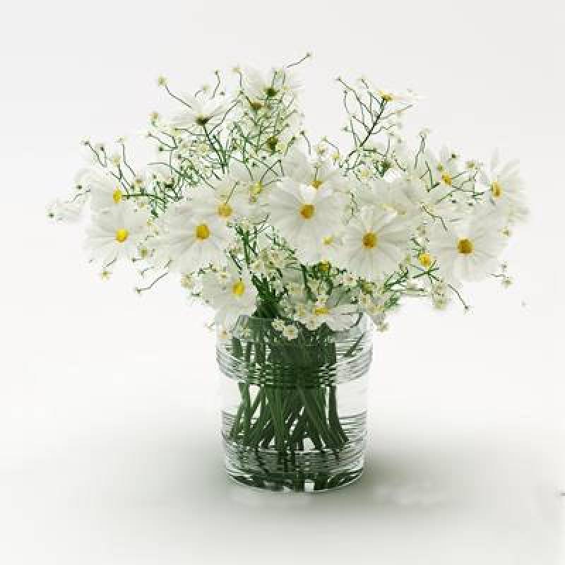 现代玻璃花瓶小雏菊3D模型下载 现代玻璃花瓶小雏菊3D模型下载