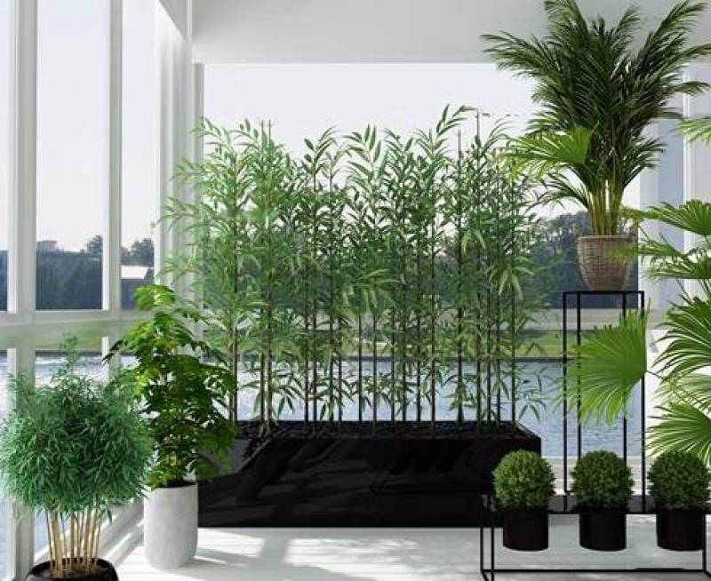 现代竹子绿植盆景组合3D模型下载 现代竹子绿植盆景组合3D模型下载