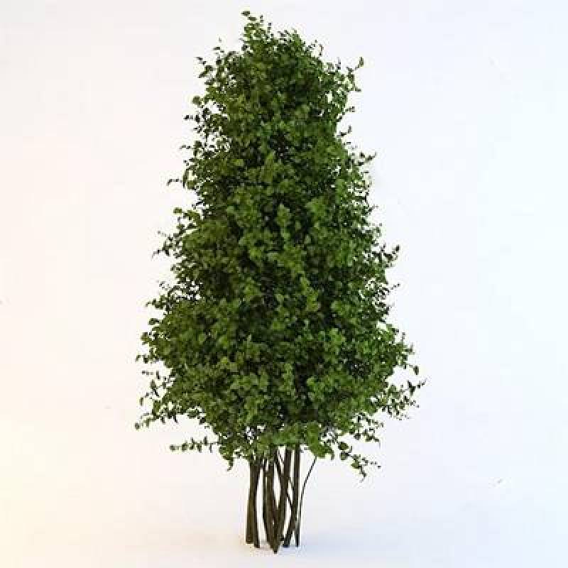 树 3D模型 下载 树 3D模型 下载