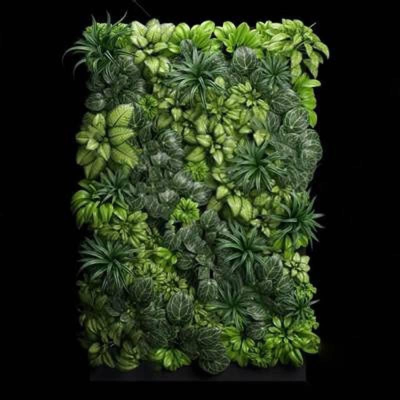植物 3D模型 下载 植物 3D模型 下载