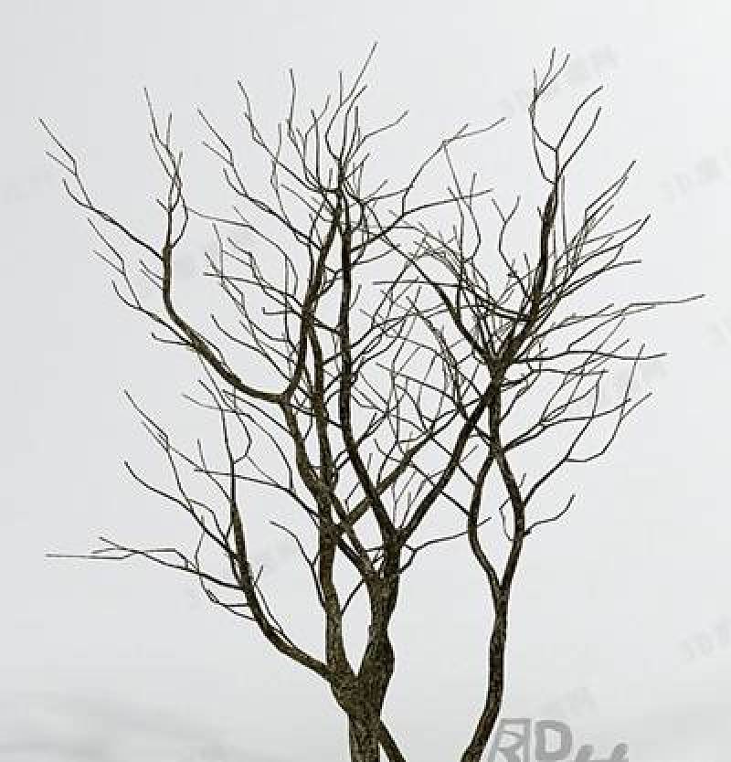 褐色树3D模型下载 褐色树3D模型下载
