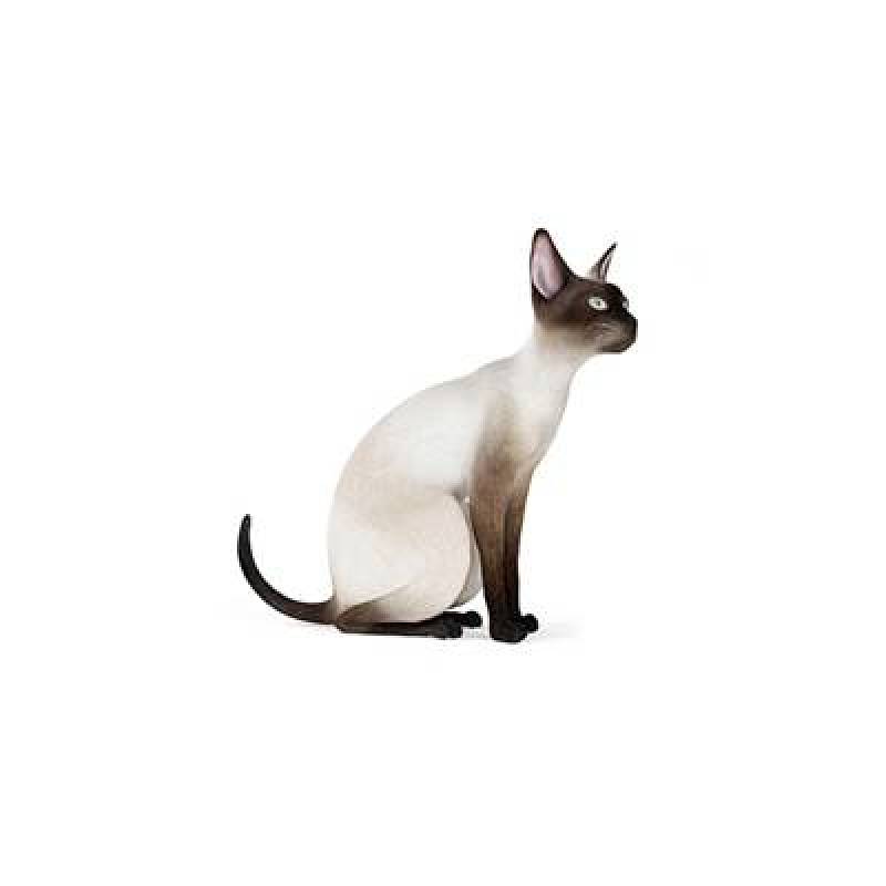 白色猫3D模型下载 白色猫3D模型下载