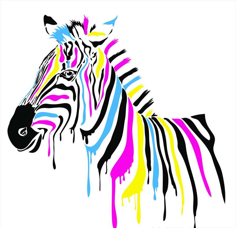 彩色绘画动物斑马图片