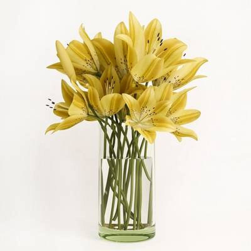 现代玻璃花瓶黄色百合花组合3D模型下载下载 现代玻璃花瓶黄色百合花组合3D模型下载下载