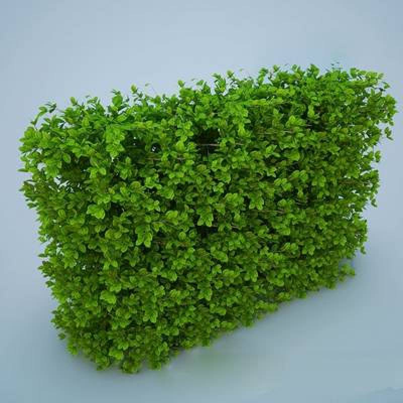 绿色绿植墙3D模型下载 绿色绿植墙3D模型下载