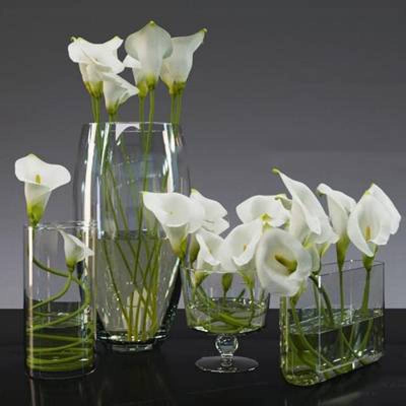 现代玻璃花瓶马蹄莲组合3D模型下载 现代玻璃花瓶马蹄莲组合3D模型下载