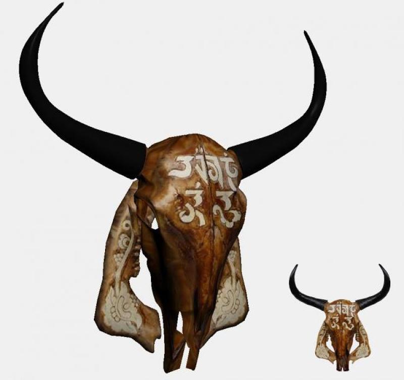 3dmax牦牛头模型图片