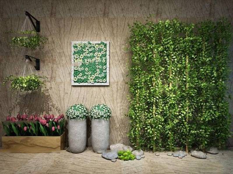 现代绿植墙吊兰盆栽花卉组合3D模型下载 现代绿植墙吊兰盆栽花卉组合3D模型下载