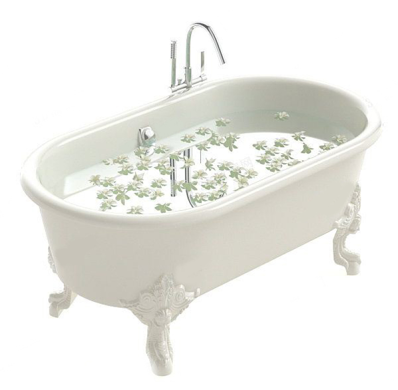 3DMAX浴缸模型