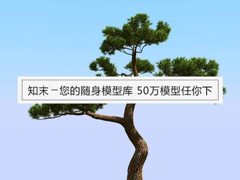 树3D模型 (80)下载 树3D模型 (80)下载