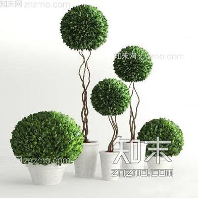 现代圆形绿植盆栽3d模型下载 现代圆形绿植盆栽3d模型