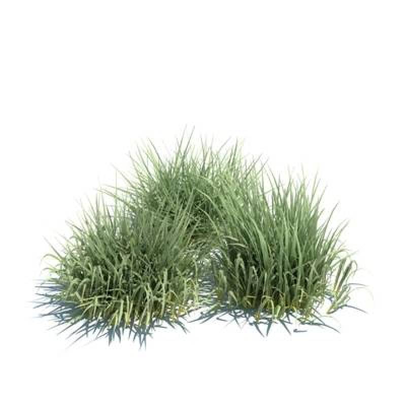 绿色草堆3D模型下载 绿色草堆3D模型下载