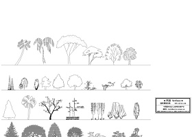 园林立面植物CAD图例