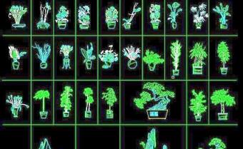 31个选室内植物CAD立面图