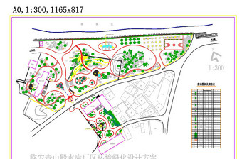 总图CAD景观图纸