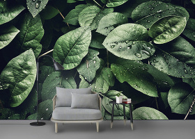 现代简约绿色植物背景墙