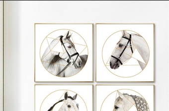 原创抽象几何线条马头客厅组合装饰画
