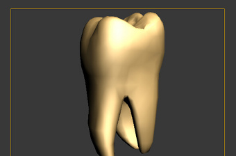 人体牙齿3dmax模型