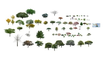 精品免费景观植物树组合SU模型下载 精品免费景观植物树组合SU模型下载