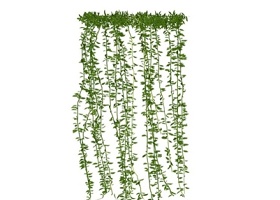 精品免费室内装饰植物墙SU模型下载 精品免费室内装饰植物墙SU模型下载