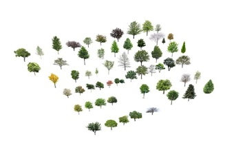 精品免费景观植物树组合SU模型下载 精品免费景观植物树组合SU模型下载