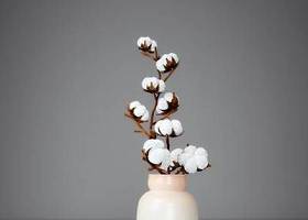 白色陶艺花瓶3D模型下载 白色陶艺花瓶3D模型下载