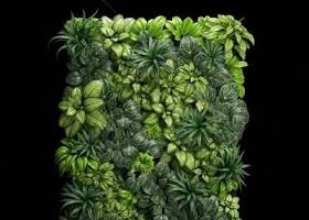 植物 3D模型 下载 植物 3D模型 下载