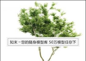树3d模型(49)下载 树3d模型(49)下载
