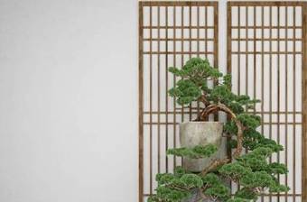 中式松树盆栽3D模型下载 中式松树盆栽3D模型下载