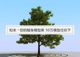 树3D (80)3D模型下载 树3D (80)3D模型下载