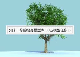 榕树3D模型下载 榕树3D模型下载