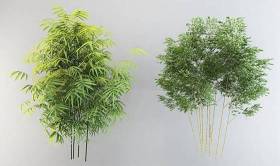 现代茂盛竹子组合3D模型下载 现代茂盛竹子组合3D模型下载