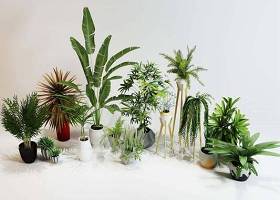 现代花草绿植盆栽3D模型下载 现代花草绿植盆栽3D模型下载