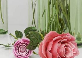 玫瑰花植物摆设品null3D模型下载 玫瑰花植物摆设品null3D模型下载