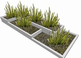 室内植物su模型下载 室内植物su模型下载