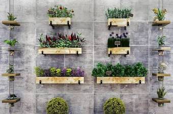 现代墙面绿植盆栽组合3D模型下载 现代墙面绿植盆栽组合3D模型下载