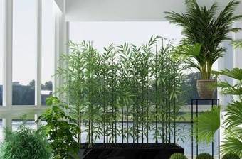 现代竹子绿植盆景组合3D模型下载 现代竹子绿植盆景组合3D模型下载