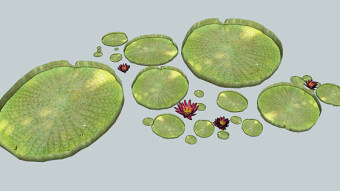 水生植物睡莲，3D，花园，水，花， 其他 网球 画 盘子 饰品 SU模型下载 水生植物睡莲，3D，花园，水，花， 其他 网球 画 盘子 饰品 SU模型下载