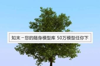 树3D (82)3D模型下载 树3D (82)3D模型下载