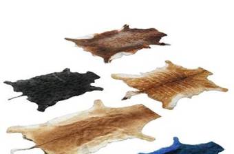 现代动物皮毛地毯组合3D模型下载 现代动物皮毛地毯组合3D模型下载