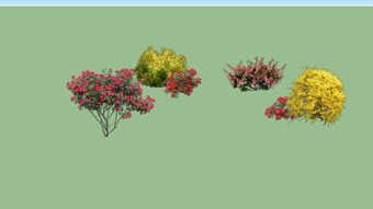 树木、灌木和花卉 植物 其他 花 画 演出 SU模型下载 树木、灌木和花卉 植物 其他 花 画 演出 SU模型下载